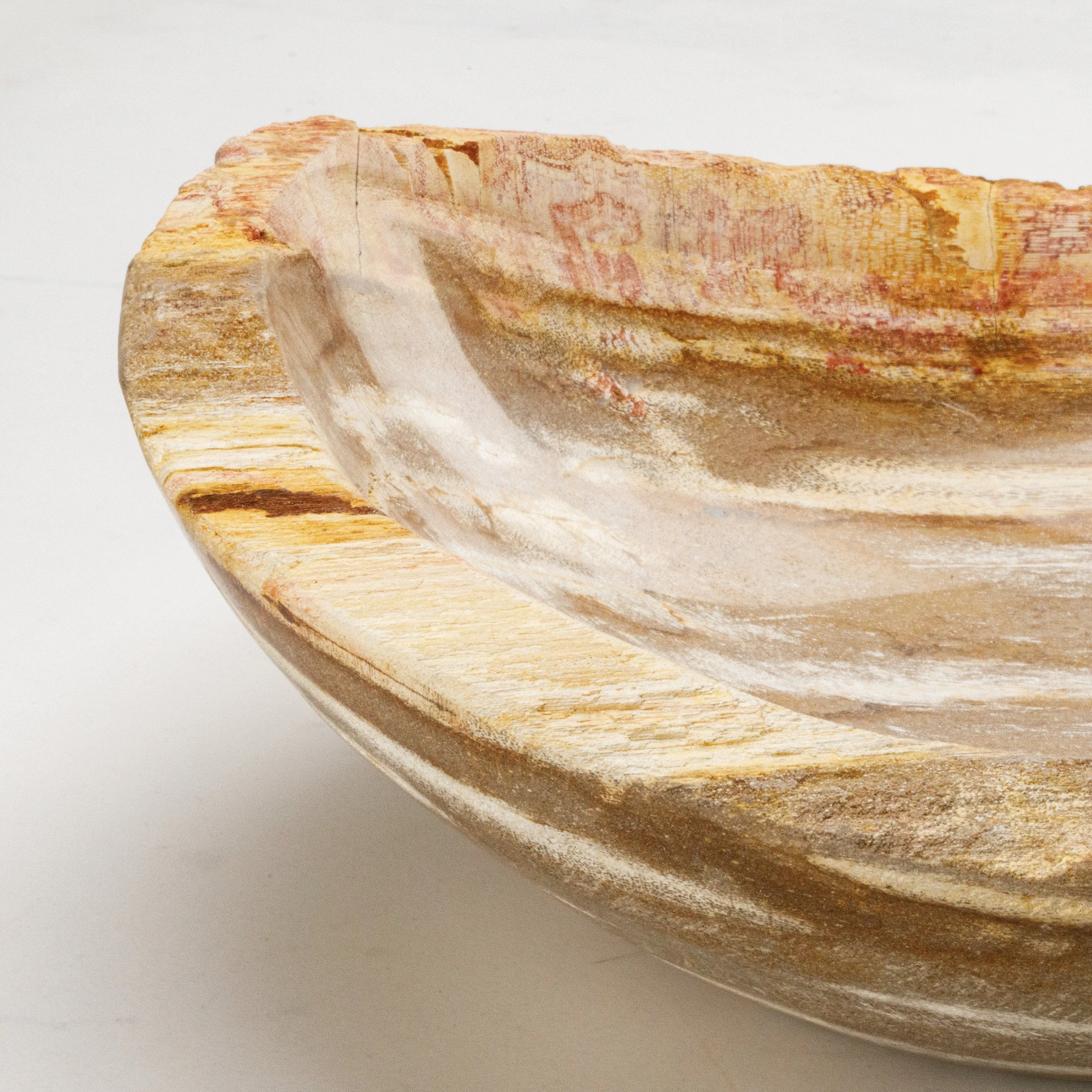 13 Brown Petrified Wood Bowl