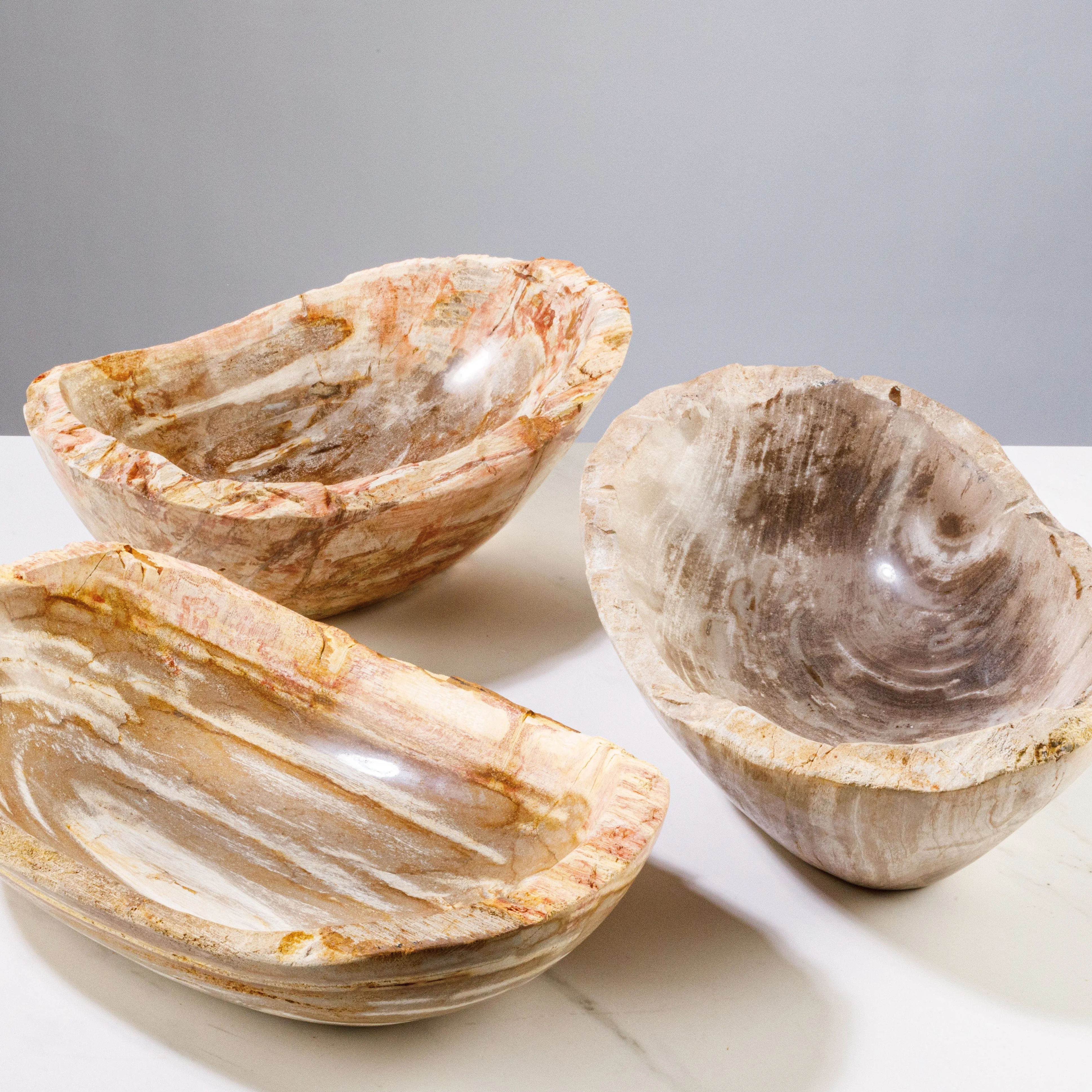 13 Brown Petrified Wood Bowl