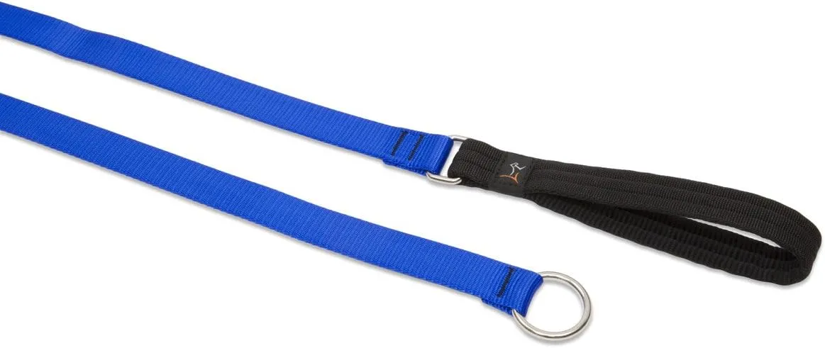 1in Blue 6ft Slip Leash