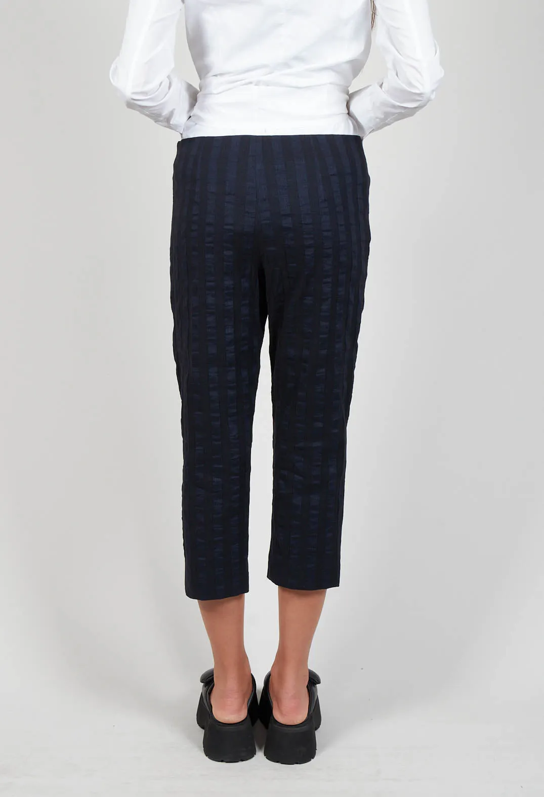 3/4 Trousers in Stripe / Navy