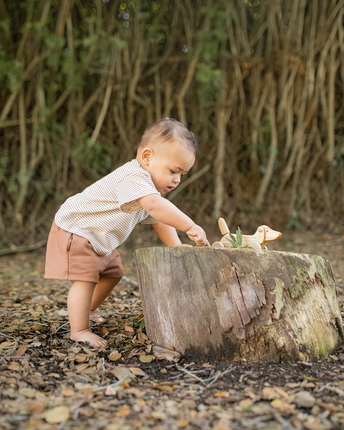 Baby Stripe Solid Tee