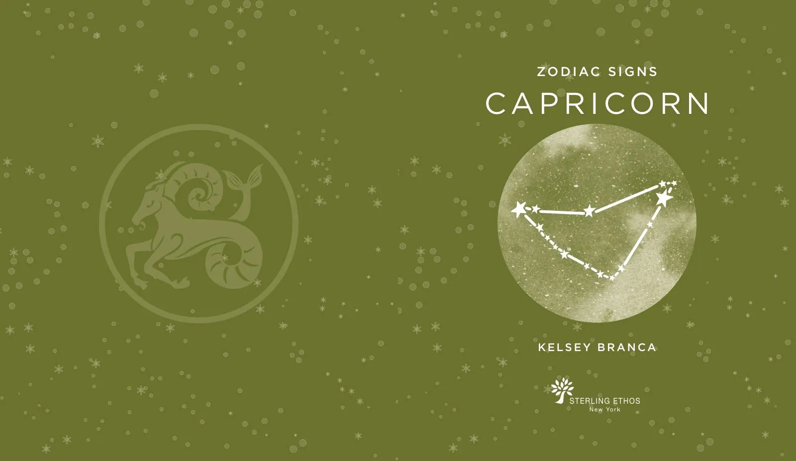 Book - Zodiac Signs: Capricorn