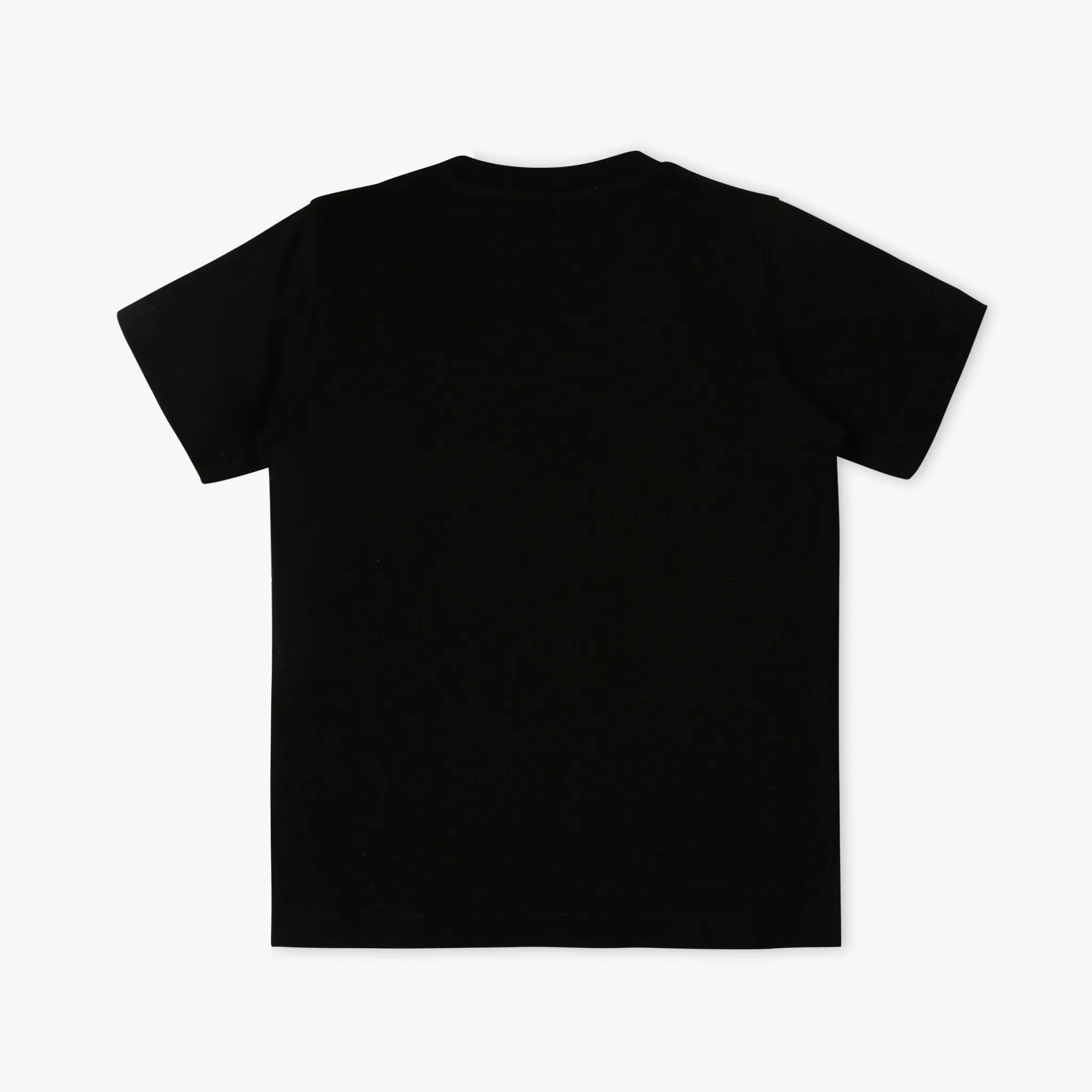 Boy's Regular Fit Graphic T-Shirt