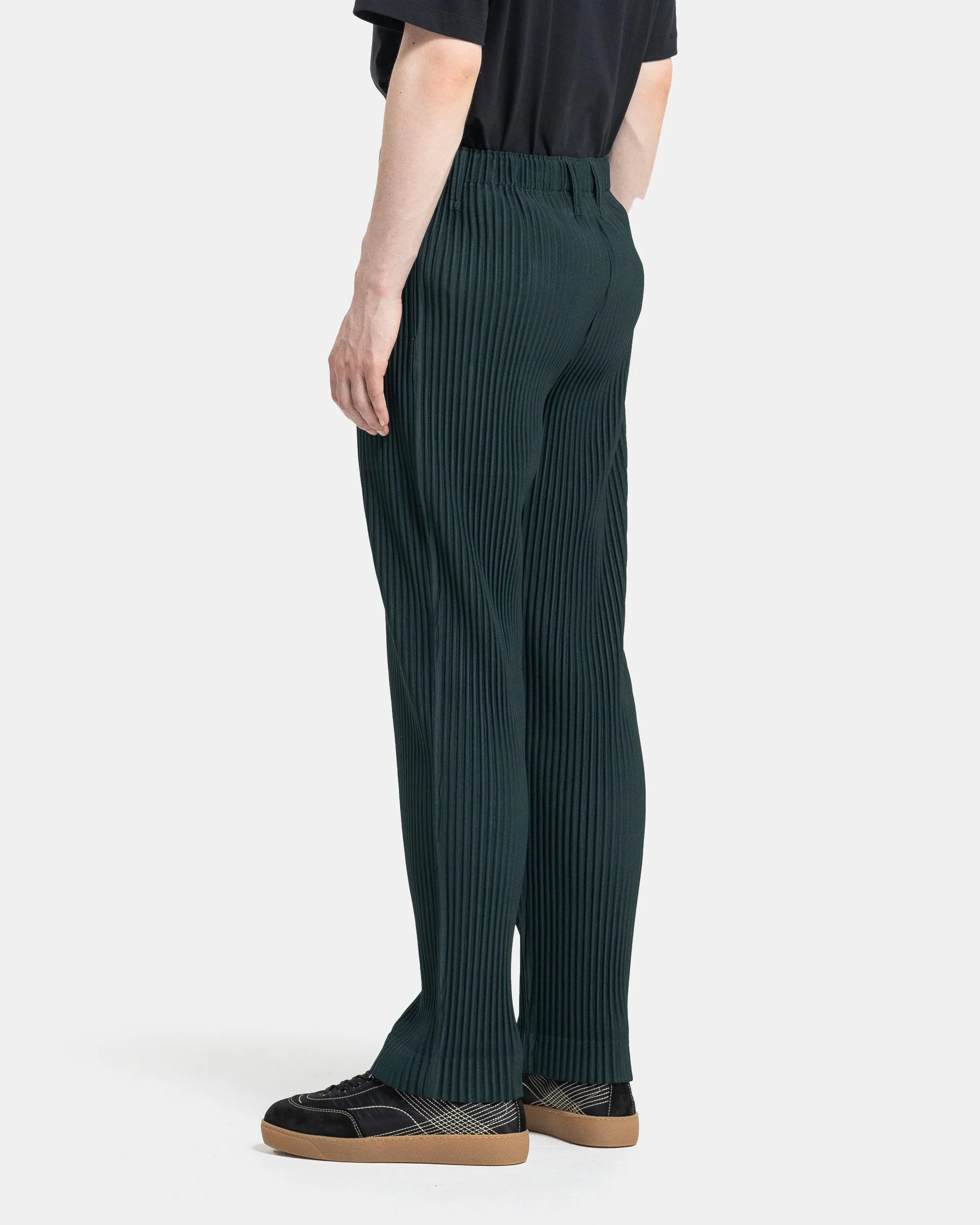 Colour Pleats Pants in Sage Green