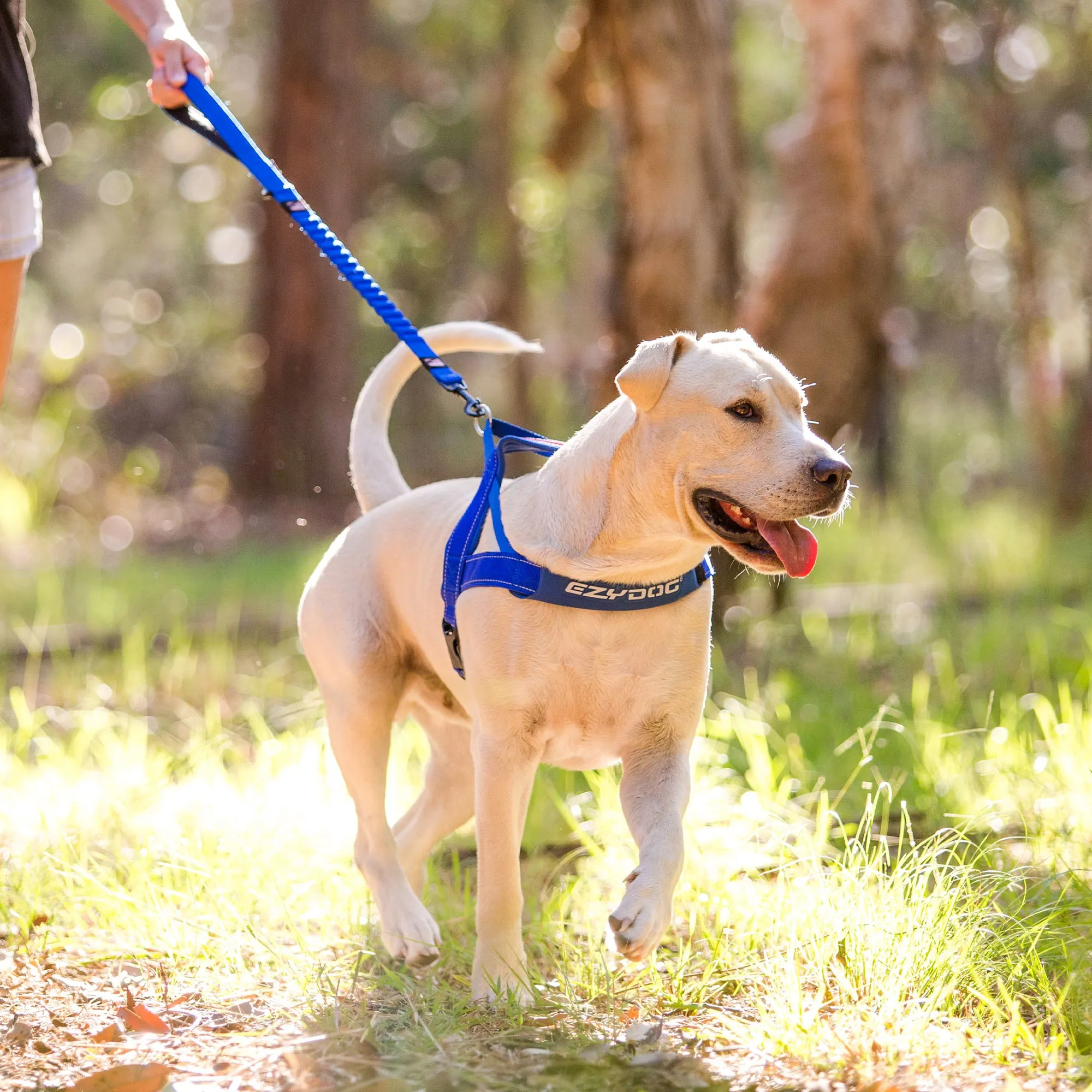 EzyDog Quick Fit Dog Harness - Green Camo