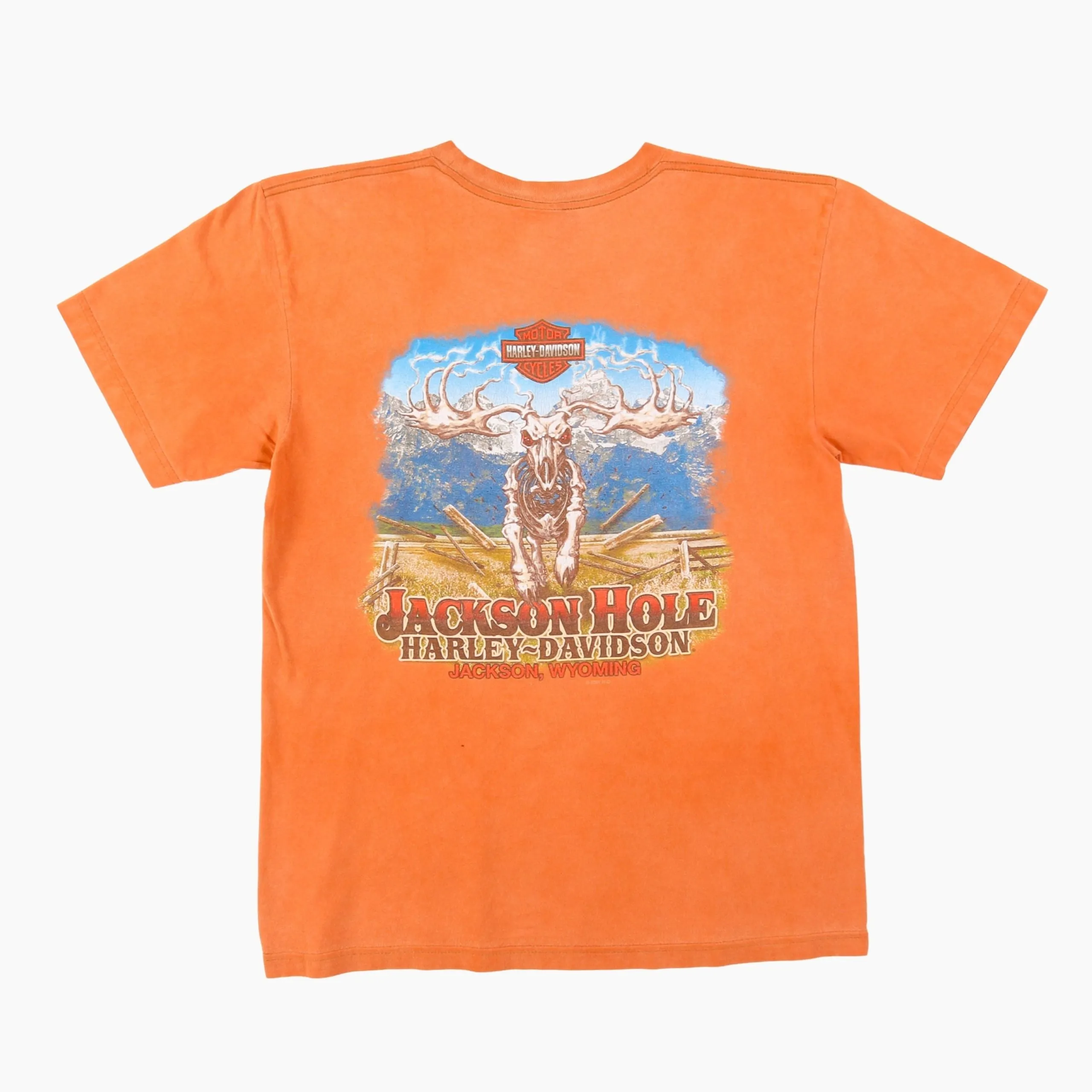 'Jackson Hole Wyoming' T-Shirt