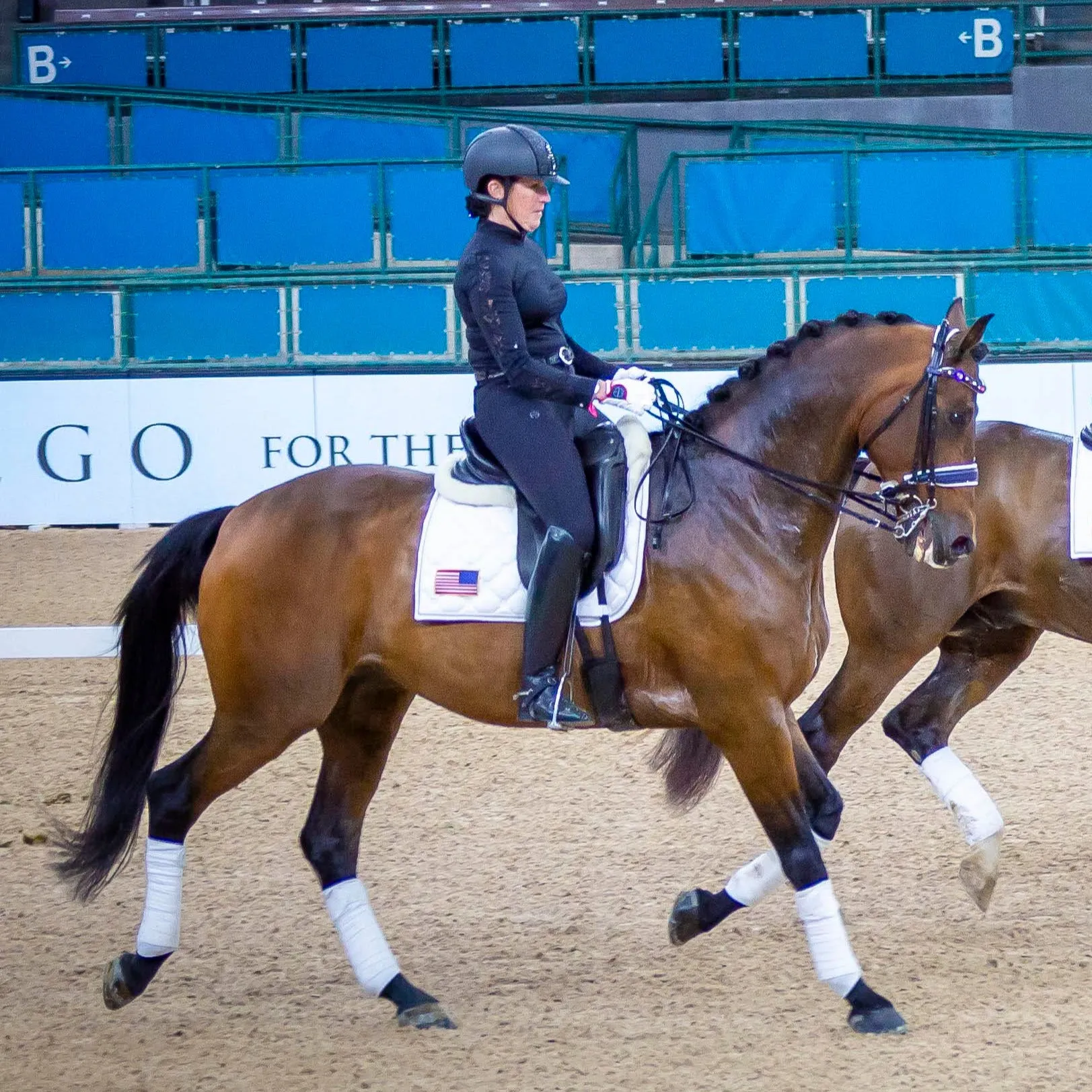 The Rushmore Metallic Navy Leather Convertible Bridle - (Pathway to the Podium Collection)