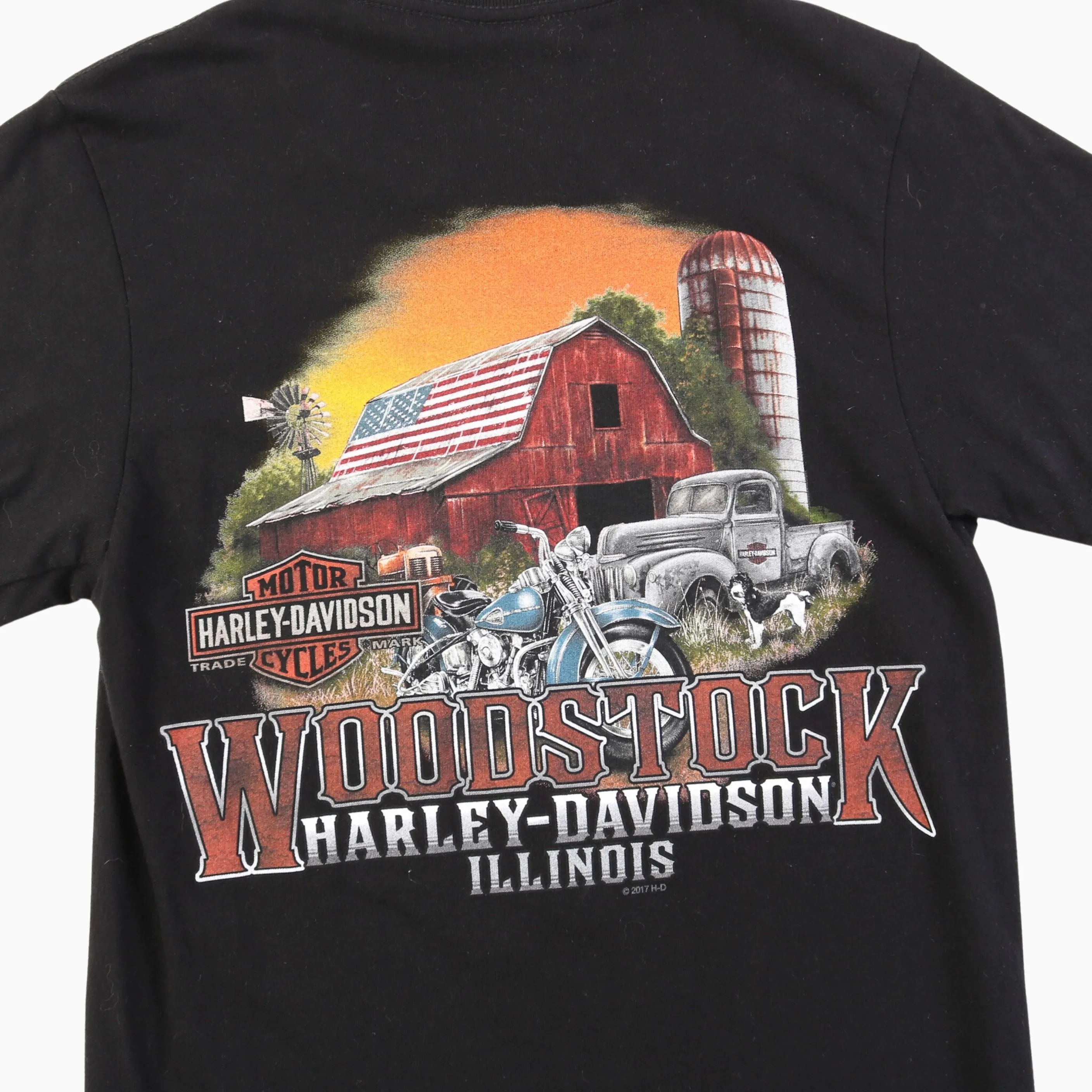 'Woodstock Illinois' T-Shirt